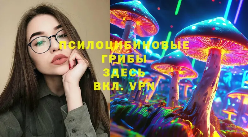 Псилоцибиновые грибы MAGIC MUSHROOMS Губкинский